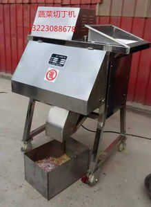 荥阳天嘉食品机械制造厂 蔬菜切丁机图片与产品解析